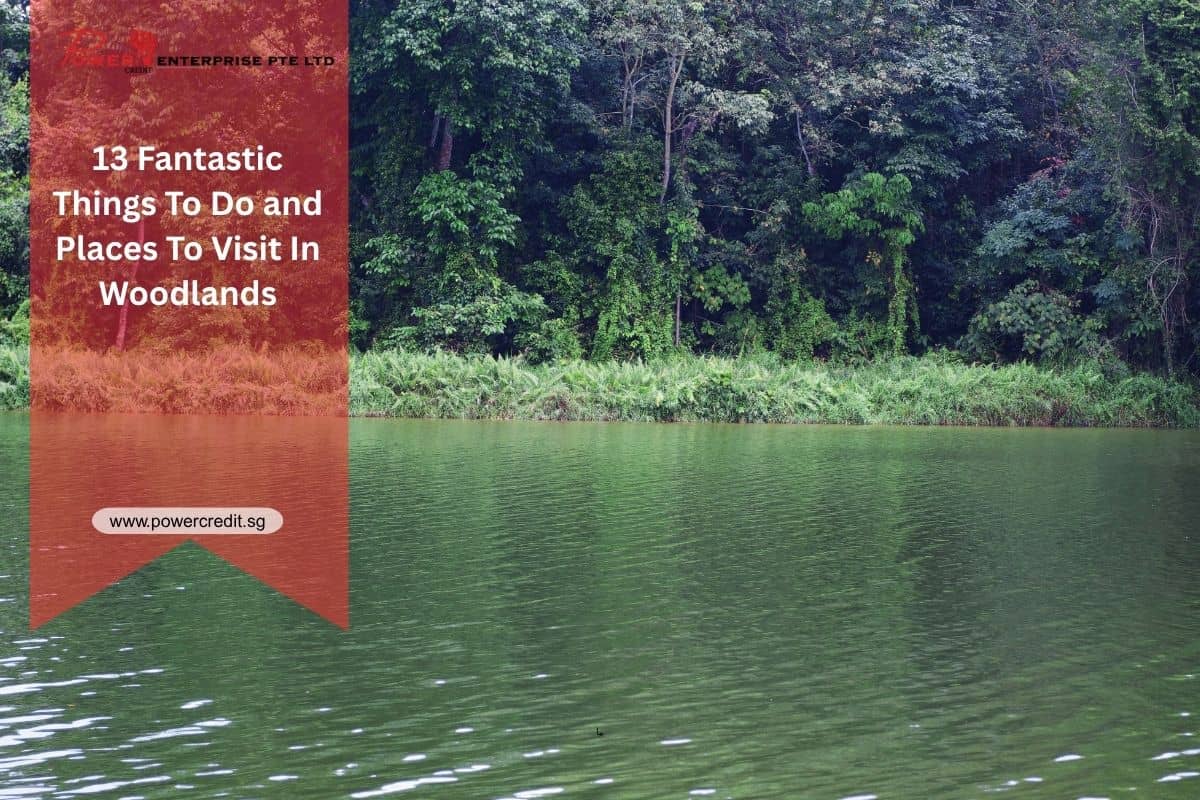 Fantastic Things To Do in Woodlands